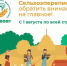 К проведению сельскохозяйственной микропереписи готовы - Администрация Сальского района