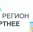 На Дону началось голосование за объекты благоустройства на 2023 год - SalskNews.Ru