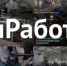 В Ростовской области стартовала акция #МыРаботаем - SalskNews.Ru