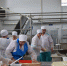 В Сальске заработало новое предприятие по производству молочной продукции - SalskNews.Ru