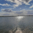 Полицейские Ростовского линейного отдела на водном транспорте проводят проверку по факту инцидента на теплоходе - SalskNews.Ru