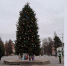 Завершилась установка главной городской ёлки Сальска на площади Ленина - SalskNews.Ru