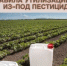 Россельхозцентр напоминает об обязательной утилизации тары  из-под пестицидов - Администрация Сальского района