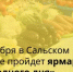 6 декабря в Сальске пройдет ярмарка «выходного дня» - Администрация Сальского района