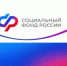 Отделение СФР по Ростовской области досрочно назначило пенсию 26 тысячам родителей детей с инвалидностью - Администрация Сальского района