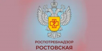 Как встретить Новый год и не навредить здоровью - Администрация Сальского района