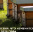 Поля и пасеки: что изменится с 1 марта 2026 года - Администрация Сальского района