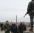 Цветы – к памятнику воину СВО - Администрация Сальского района