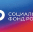 Отделение СФР по Ростовской области назначило 4 матерям-героиням региона новые меры социальной поддержки - Администрация Сальского района