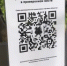 На нестационарных торговых объектах должна быть вывеска с QR-кодом - Администрация Сальского района