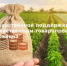 Объявление об отборе Шифр: 26-902-R5012-2-0248 Субсидия на поддержку приоритетных направлений агропромышленного комплекса на финансовое обеспечение части затрат на поддержку элитного семеноводства - Администрация Сальского района